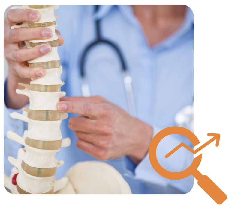Chiropractor SEO